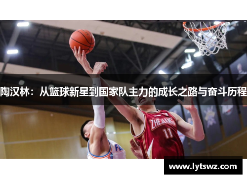 陶汉林：从篮球新星到国家队主力的成长之路与奋斗历程