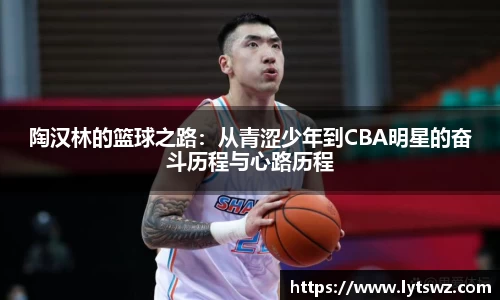 必一陶汉林的篮球之路：从青涩少年到CBA明星的奋斗历程与心路历程